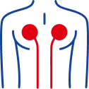 Torso with 12 lead ECG electrodes illustration
