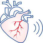Illustration of a heart during an echocardiogram
